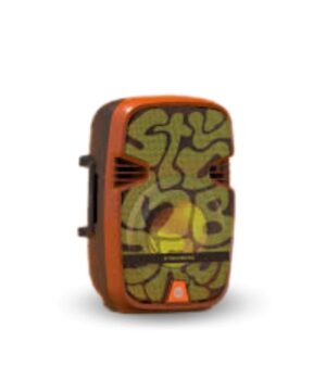 PARLANTE PORTATIL 25W VIVID NARANJA STROMBERG